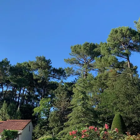 Maison Bord De * לס מתה